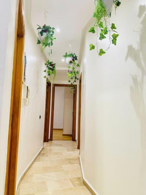 Appartement Cosy House Marrakech Semlalia - Gueliz Center Marrakesh
